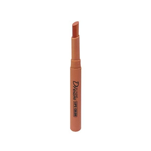 WOZOW Rouge Waterproof Mignon à Lèvres De Tube Bouche Brique Facile Doux Velvet Charme Lèvres, Longue Durée Matte Crayon Coul