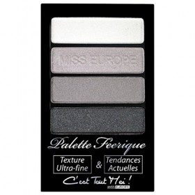 PALETTE FARD A PAUPIÈRE FÉERIQUE 01 ARGENT - MISS MISS
