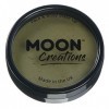 Moon Creations Maquillage professionnel visage et corps | Moules à gâteaux professionnels avec peinture colorée pour maquilla