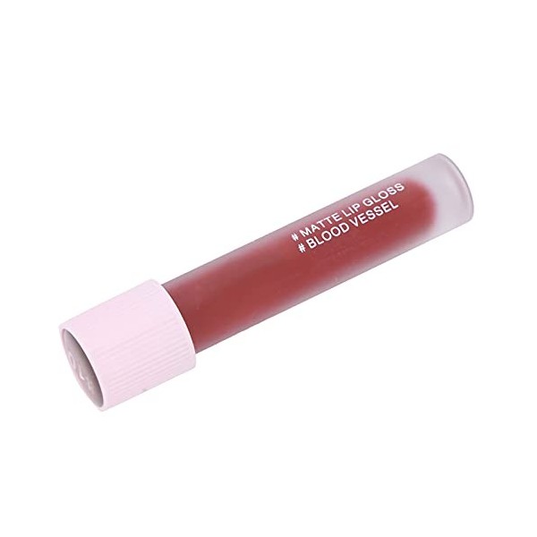 5ML Rouge Mat Brillant à Lèvres pour Femmes Cosmétique Liquide à Lèvres Longue Durée Brillant à Lèvres Lissant Brillant à Lèv