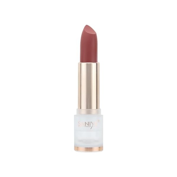 Rouge à lèvres mat,Repulpeur de lèvres hautement pigmenté longue durée | Rouge à lèvres Nude pour filles et femmes, couleur h