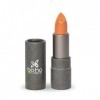 Correcteur de teint N°08 - Terre de Sienne - Boho Green Make-up Orange Sanguine 