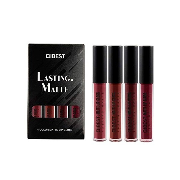 Rouge à Lèvres Liquide Mat Set 4 Couleurs Brume Rouge à Lèvres Résistant à Leau Anti Adhérent Brillant à Lèvres