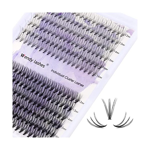 Faux Cils Individuels 240PCS Cluster Cils Volume Russe 0.07mm D Curl Mixte 12-16mm 30D+40D Cluster Extensions de Cils Individ