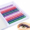 240pcs Faux Cils Colorés, 6 Couleurs Cils Colorés Extension Cils Colorés Réutilisable Pack de Faux Extensions de Cils pour Fe