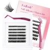 FADLASH DIY 40 Root Cils Cluster Extension Cils Individuels Faux Cils Individuelle Bouquet Cils 0.07-D Curl