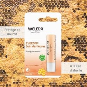 WELEDA - Soin des Lèvres Everon - Baume à Lèvres - Apaisant et Protecteur - Stick de 4,8&nbsp;g