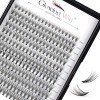 Glowing Win Extension Cils Individuels Faux Cils Naturel Cluster Lashes 0.07C 8-15mm 20D 228PCS Faux Cils Bouquet Individuel 