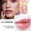 4PCS Lip Glow Oil Huile à lèvres pour filles Saveurs fruitées Rolling Ball Lip Oil Set Baume à lèvres hydratant Transparent L
