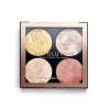 Makeup Revolution, Cheek Kit, Palette Visage,DonT Hold Back, 4 Ombres, 8.8g