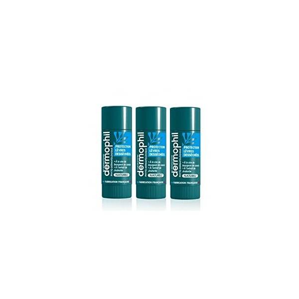 Dermophil Indien Protection Lèvres Desséchées Bio Stick Lot de 2 x 4 g + 1 Offert