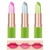 3PCS Vibely Aloe Vera Lipstick Long Lasting Moisturizer Lip Balm Temperature Color Change Lip Gloss Set