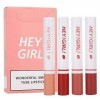 4pcs/set Lipstick Set - Cigarette Shape Matte Long Lasting Easy to Colour Non-Sticky Unfading Lip Gloss Makeup Cosmetic pour 