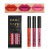 Desing Wish 3 Pièces Lot Rouge a Levre Mat Longue Tenue Rouge a Levre Nude Rose Rouges à Lèvres Sans Transfert Brillant à Lèv