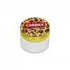 Carmex Moisturising Lip Balm Wild Edition