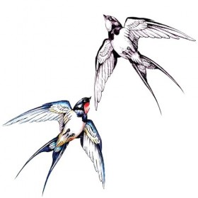 4 pcs Tatouage Ephemere Hirondelle Tatouage Temporaire Art Fille Clavicule Poignet Étanche Couleur Noir Et Blanc Tatouage