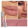 5Pcs Matte Liquid Lipstick Makeup Set Lip Kit, Lip Gloss Long Lasting Lipstick, Waterproof Velvet Lip Gloss Set, Nude Lipstic