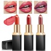 Likesing 2 Pièces Lot Rouge a Levre Pailleté Longue Tenue Rouge a Levre Nude Rose Rouges à Lèvres Sans Transfert Brillant à L