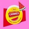 Carmex Pastèque - Pot 7,5 g