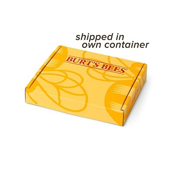 Burts Bees Kit Soin des Lèvres/Couleur