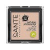 Sante Naturkosmetik Natural Eyeshadow 01 Pearly Opale Fard à paupières Mat Nuance de couleur Extraits bio végétaliens 1,8 g