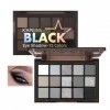 Smokey Palette de maquillage pour les yeux Noir fumé mat et pailleté 15 couleurs Noir foncé argenté blanc gris ombre métalliq