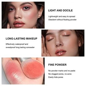 BSMKCL Palette de fard à joues 12 couleurs - Longue tenue, anti-taches, aspect naturel, estompable - Finition mate sans cruau