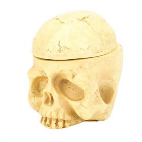 Porte-gobelet Dencre de Tatouage, Porte-encre de Crâne Porte-colle pour Faux Cils, Fournitures de Tatouage de Maquillage Per