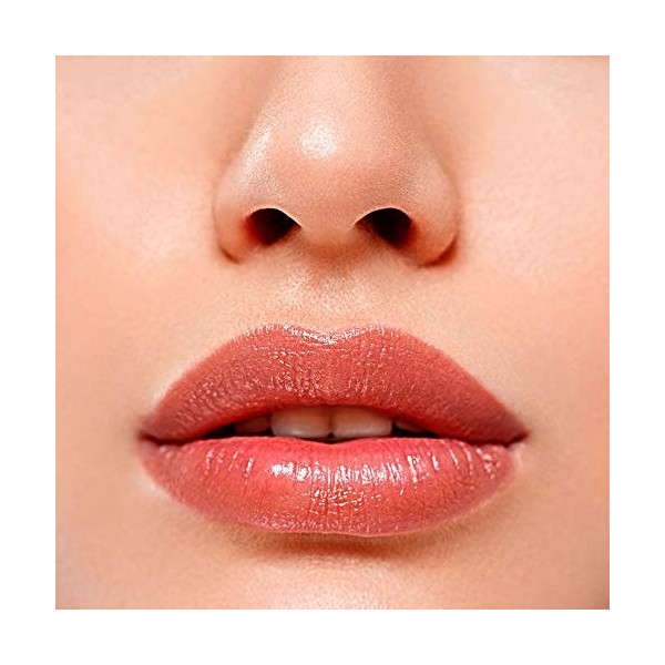 Camaleon Basic Color Stick Nude