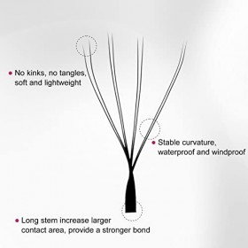 FADVAN W 8D de Cils Bouquet Prefait 0.07D Curl Mixed 8-15mm Cils Volume Russe Professionnel Cils Forme de W Extension de Cils