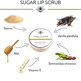 100% Naturel GOMMAGE AU SUCRE POUR LES LÈVRES - avec MIEL & VANILLE et HUILE DE JOJOBA & VITAMINE E - 50g par BEES of BRITAIN