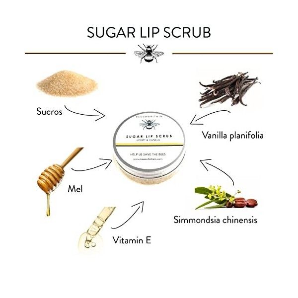 100% Naturel GOMMAGE AU SUCRE POUR LES LÈVRES - avec MIEL & VANILLE et HUILE DE JOJOBA & VITAMINE E - 50g par BEES of BRITAIN...