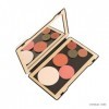 Palette Multifonction Aimanté Rechargeable Couleur Caramel maquillage make-up