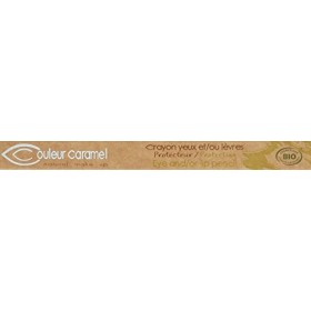 COULEUR CARAMEL Pinceaux pour Les Yeux 1 Unité