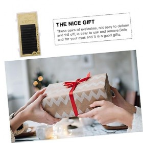 Housoutil 2 Boîtes De Greffage De Faux Cils Faux Cils Cils Flases Faux Cils Naturels 3D Cils Naturels Faux Cils 6D Protéine D