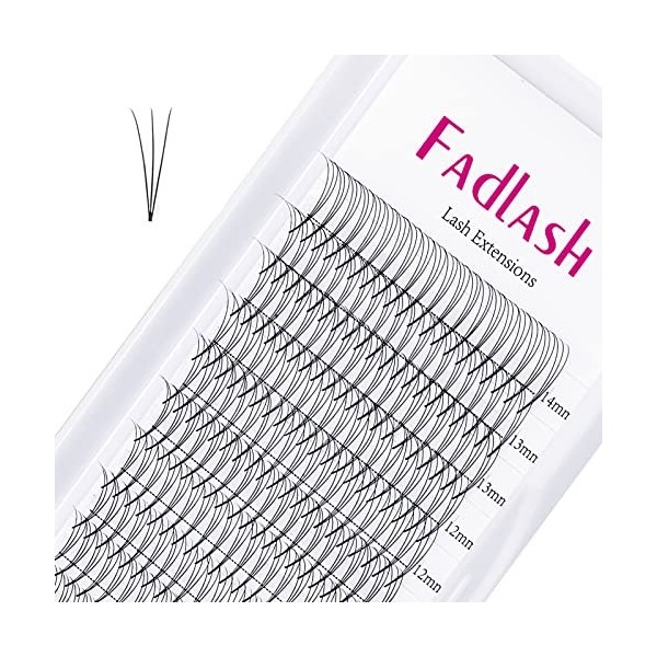 Cils Volume Russe 5D 0.07mm D Curl 14mm Extension de cils Volume Cils individuels Cluster Eyelashes pour la Beauté avec des C