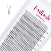 Cils Volume Russe 5D 0.07mm D Curl 14mm Extension de cils Volume Cils individuels Cluster Eyelashes pour la Beauté avec des C