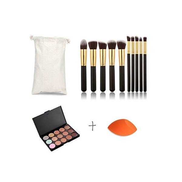 FantasyDay 15 Couleurs Pro Anti-Cernes Contouring Kit Crème Correcteur de Teint Makeup Gift Set avec 11 Pinceaux Maquillage -