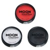 Moon CreationsMaquillage professionnel visage et corps | Moules à gâteaux professionnels avec peinture colorée pour maquillag