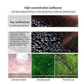 Lips Booster Hydratant, Essence de soin des lèvres améliore lélasticité des lèvres Sérum hydratant pour les lèvres éclaircis