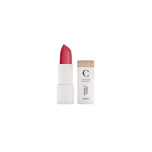 Rouge à lèvres N°290 Le zénith Couleur Caramel