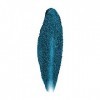 REVLON ColorStay Glaze Stick Eye Shadowliner Ombre à Paupières N°875 Sapphire