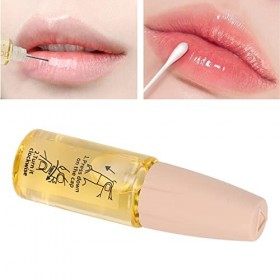 Gloss repulpant pour les lèvres, contours des lèvres hydratants et fondus pour les lèvres