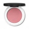 LILY LOLO Blush Pressé - Couleur - In the Pink - 4g