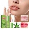 Brillant à lèvres hydratant,Brillant à lèvres à laloès naturel ultra hydratant | Lip Plumper améliore lélasticité des lèvre