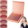 Havenlyn the Everlasting Liquid Lipstick Matte Set of 6, Matte Liquid Moisturizing Lip Gloss Kit,Wear-Resistant Non-stick Cup