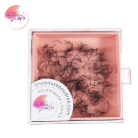 Bouquets en Vrac pour volume russe extensions de cils une pause poudree boîte de 500 pcs 3D, 5D ou 6D 0.07 CC ou D 8mm, 9mm, 