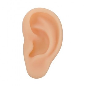 Beaupretty 1Pc Silicone Oreille Chou-Fleur Oreille Aimant Modèle De Pratique De LOreille Dissolvant De Cérumen Modèle DOrei