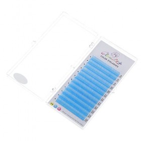 Housoutil 5 Boîtes De Greffage De Couleurs Cils En Grappe Extensions De Cils Individuelles Faux Cils Extensions De Cils Exten