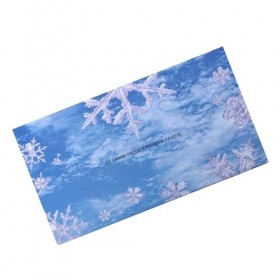 FRCOLOR 1 Boîte De Fard À Paupières Fard À Paupières Mat Maquillage Des Yeux Pour Débutants Articles De Toilette Fard À Paupi